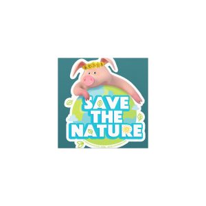 Masha and the Bear Friends Go Green! Car magnets