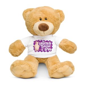 Masha and the Bear Friends Love Day Teddy bear with a t-shirt